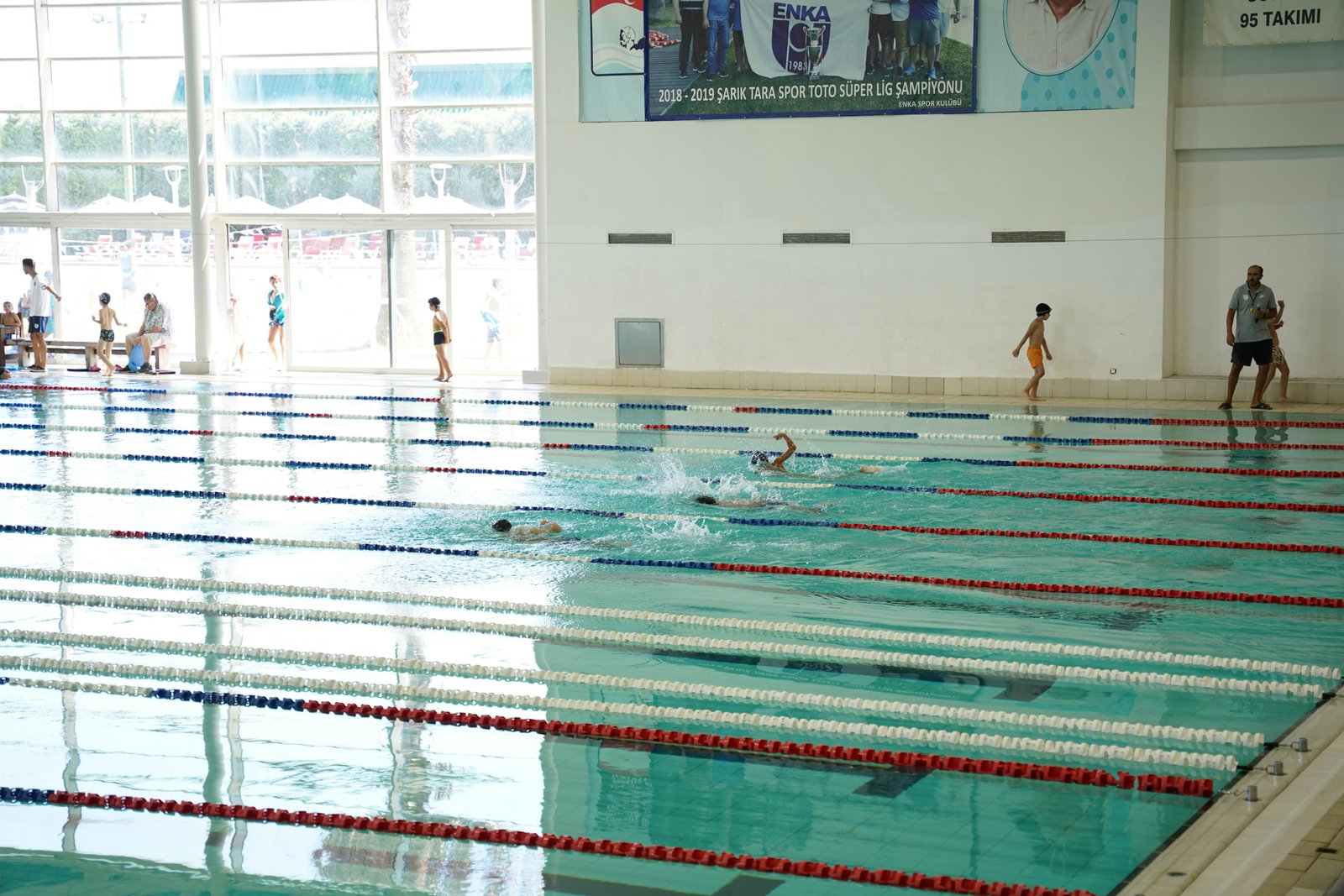 Natation